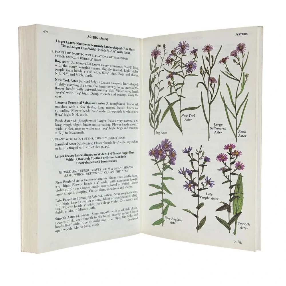 Newcomb's Wildflower Guide Nature Field Book